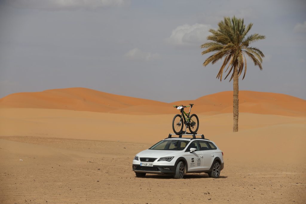 white seat leon x-perience diesel estate in desert setting with palm tree in the background